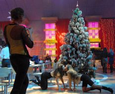 ”Classmates. New Year’s meeting” New Year’s fairy-tale surveys