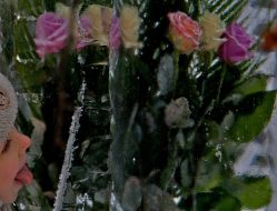 Frozen flowers