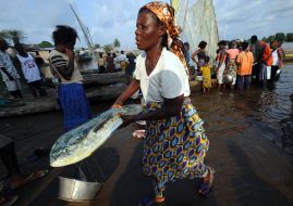 A woman carries enormous fish