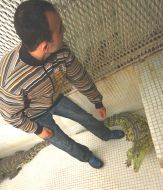 Работник питомника ”Шоу крокодилов”