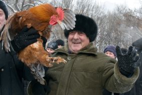 Cossack’s competitions ”Catch alive hen”