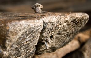 Элемент казацкой чайки