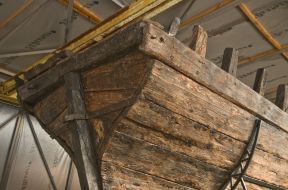 Казацкая чайка