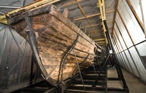 Казацкая чайка