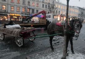 Лошадь, запряженная в телегу