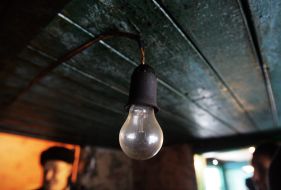 Bulb