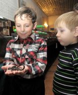 Boys at the insects exhibition