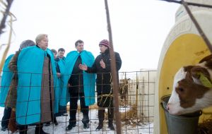 Vera Ulyanchenko on a suckling farm