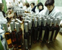 Bottles of cognac