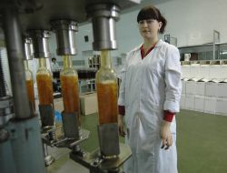 Workshop of overflow of elites cognacs