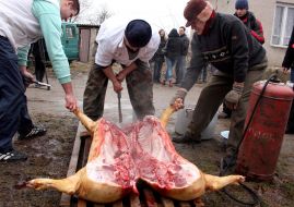 Мужчины обрабатывают тушку свиньи