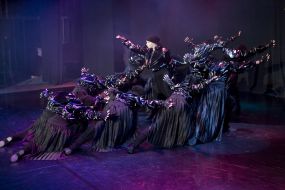 ”Friends dancing corporation” dance folk band