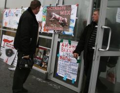 Прохожий рассматривает рисунки и фотографии