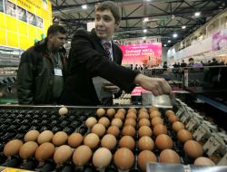 KievAgriHort international exhibition visitors