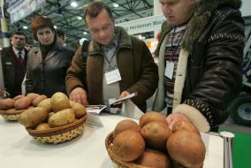 Dutch potato sorts on KievAgriHort international exhibition