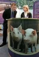 One of stands on the KievAgriHort international exhibition