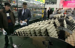 Eggs transporting and sorting system