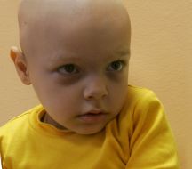 National institute of cancer