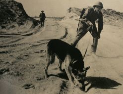 Photo from antiquitiesed exposition ”Tragedy and valour of Afghanistan”