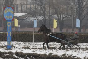 The horse race  participant passes distance