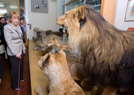 Ekaterina Yushchenko