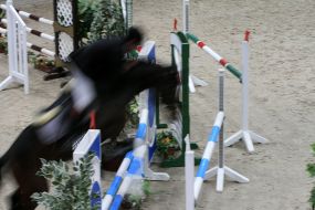 Открытие конкурного сезона Украины