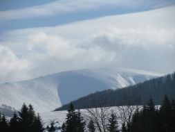 Volovetsk’s forest district