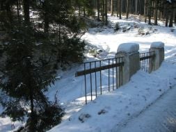 Volovetsk’s forest district