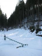 Volovetsk’s forest district