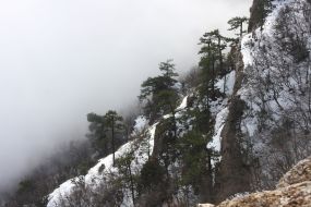 Kind from the mountain of Ay-Petri