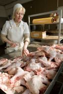 Private meat-packing plants workwoman