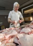 Private meat-packing plants workwoman