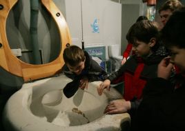 Діти у Водно-інформаційному центрі (Музей води)