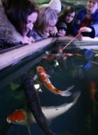 Відвідувачі Водно-інформаційного центру (Музей води)