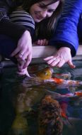 Відвідувачі Водно-інформаційного центру (Музей води)