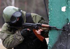 Fighter of the special division