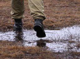 Навчання спецпідрозділу ”Сокіл”