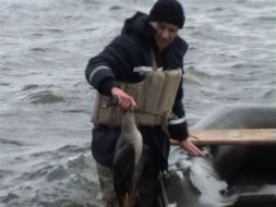 Emergency Ministry of Ukraine employee