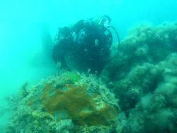 Водолаз-пиротехник