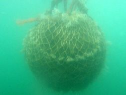 Морская мина