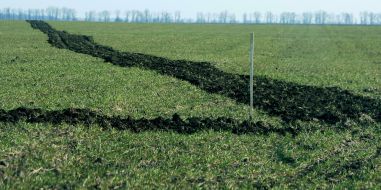 Furrow from the tractor of raiders on the field of winter-annual