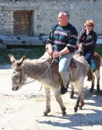 People ride at donkeys