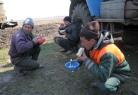 Workers have dinner on the field