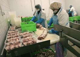 Workers of meat-processing enterprise