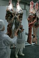 Workers of Kozyatin’s meat-packing plant