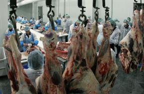 Kozyatin’s meat-packing plant