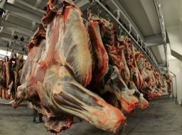 Meats carcasses