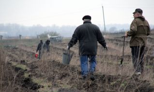 Весняна толока у Тернополі
