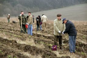 Весняна толока у Тернополі