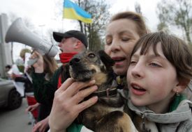 Акция в защиту бездомных животных